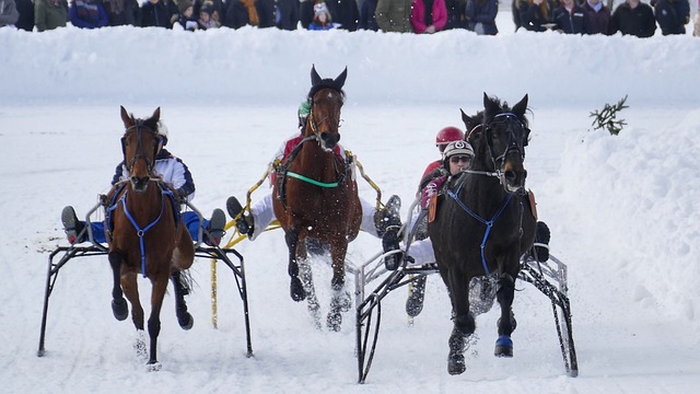 世体：预计阿根廷不会征召冈萨雷斯，他将留在马竞恢复伤势